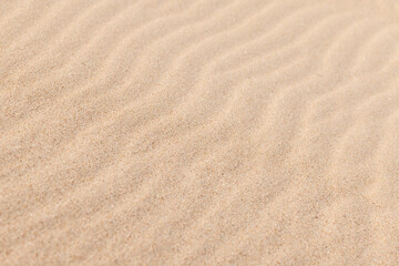 Beach sand forming smooth dunes and subtle ripples. Abstract natural background