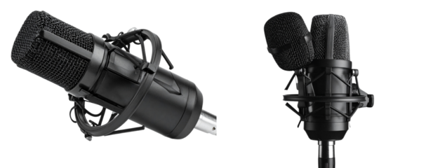 - Professional Black Studio Microphone Front View, Isolated on Transparent Background