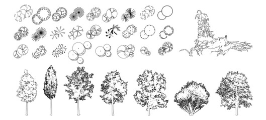 CAD Drawings. Minimal style cad tree line side view, set of graphics trees elements outline symbol for architecture and landscape design drawing. Vector illustration. © xue