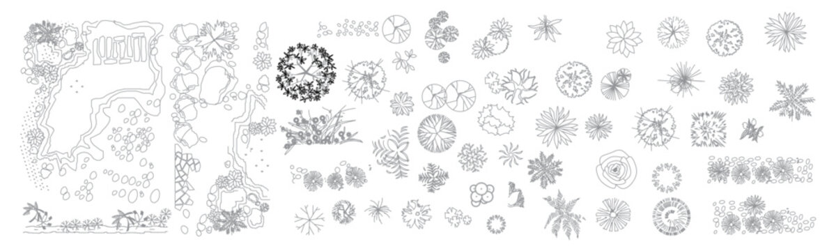 CAD Drawings. Minimal style cad tree line side view, set of graphics trees elements outline symbol for architecture and landscape design drawing. Vector illustration.