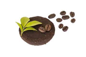 coffee residue from fresh roasted coffee and beans arrangement flat lay style 