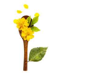 yellow flowers cosmos arrangement on wooden spoon postcard style 