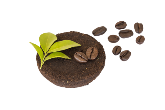 coffee residue from fresh roasted coffee and beans arrangement flat lay style 