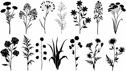 Botanical Silhouettes Collection: Delicate Floral Designs for Invitations, Branding, and Elegant Decor, A Touch of Nature's Beauty in Every Detail