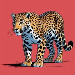 realistic leopard vector illustration