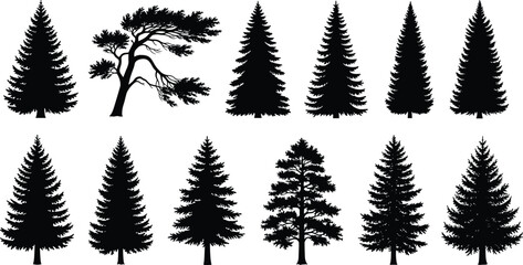 Obraz premium Conifer tree silhouette vector set with diverse evergreen shapes and branching styles for nature, forest, landscape, and botanical design use