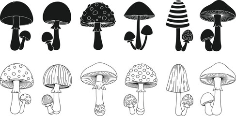 Stylized mushroom silhouettes and outlines in grouped pairs, botanical vector for nature study, fungi design, forest art, and illustration