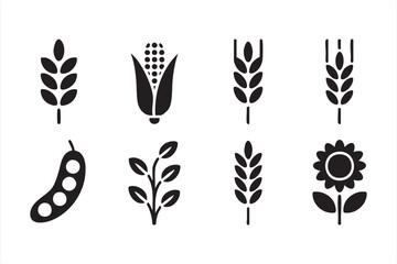 Agriculture crop and plant vector icons — corn, wheat, and sunflower illustrations