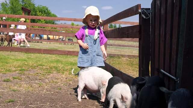 Little child girl on a farm stroking cute minipigs. Samara, Russia - 1 Aug 2025