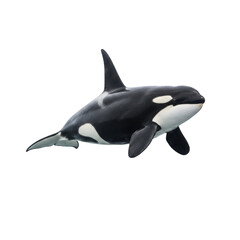 Obraz premium Orca whale captured full body PNG