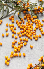 Sea buckthorn berries scattered on gray background