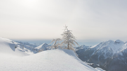 A winter landscape in the mountains