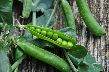 fresh ripe green peas in a pod on a wooden table