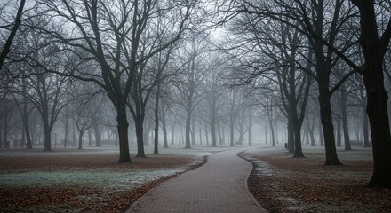 Winding path through a park with bare trees in foggy weather.
