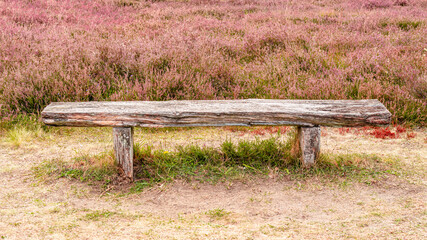 Holzbank ohne Rückenlehne vor Heidekraut in der Lüneburger Heide