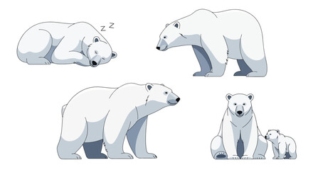 Vector illustration of polar bears in various poses, including sleeping, walking, sitting, and with a cub, white background © gita