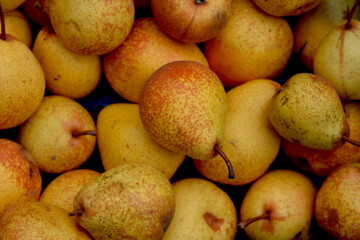 Close-up of golden yellow pears
