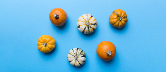 Autumn composition of little orange pumpkins on colored table background. Fall, Halloween and Thanksgiving concept. Autumn flat lay photography. Top view vith copy space