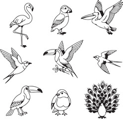 collection of birds