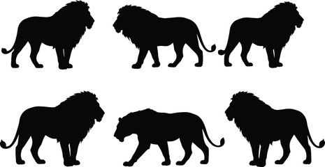 Lion silhouette, wild cat vector, African animal illustration, big cat poses, predator artwork, jungle wildlife, majestic mane, hunting, sitting, walking