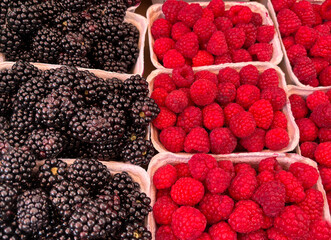 Fruit background with berry mix