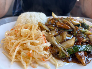 Vietnamese chicken with vegetables and rice
