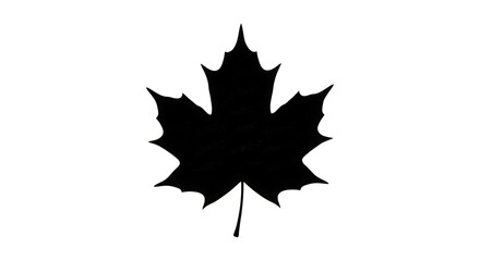 A Dark Artistic Interpretation of a Maple Leaf Embellished with Sparkling Elements