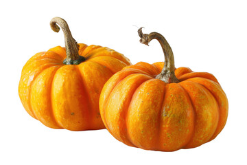 Obraz premium Two small orange pumpkins with textured stems isolated on a transparent background gourd squash