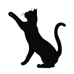 A sleek black cat silhouette stretches playfully with a raised paw