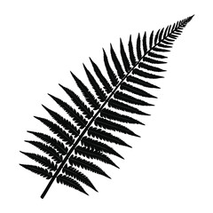 A single black and white illustration of a lush fern leaf design