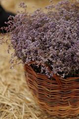 Fototapeta premium garden