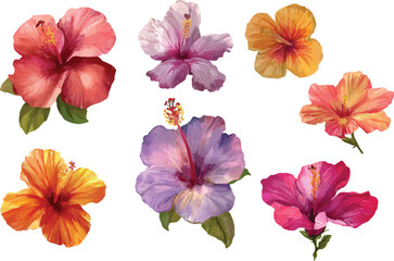 collection of flowers