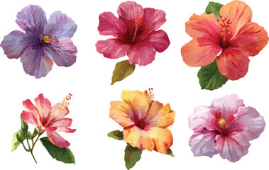 collection of flowers