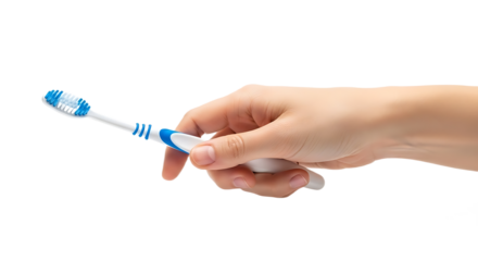 Persons Hand Holds a White and Blue Toothbrush for Oral Care