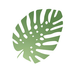 green leaf isolated on white background