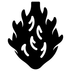Dragon fruit icon