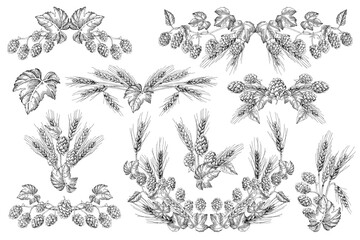 Hop and malt elements for beer branding