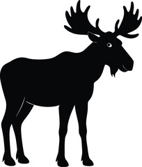 Obraz premium Majestic bull moose standing profile view in a stark black silhouette against a white background