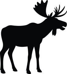 Majestic bull moose with large antlers standing in profile silhouette on white background