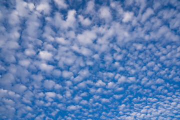 summer evening, sunset in yellow, orange and pink with clouds, background
