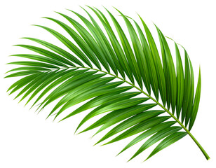 Obraz premium Download Preview Preview Crop Find Similar File 