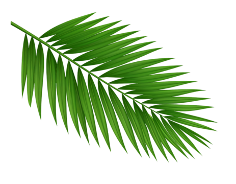  Download Preview Preview Crop Find Similar File 