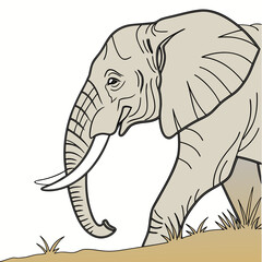 elephant  illustration