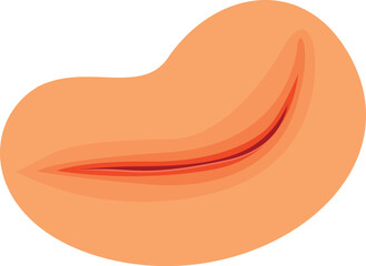 Closed mouth slightly smiling showing upper teeth, simple cartoon illustration