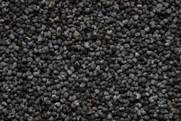 Texture of poppy seeds as background