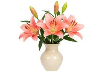 Elegant pink lilies in a vase isolated on transparent PNG, beautiful floral arrangement for home decor and special occasions
