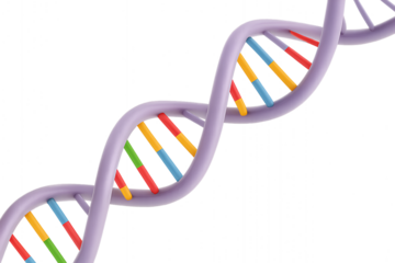 Colorful DNA double helix structure illustration concept of genetics and molecular biology science