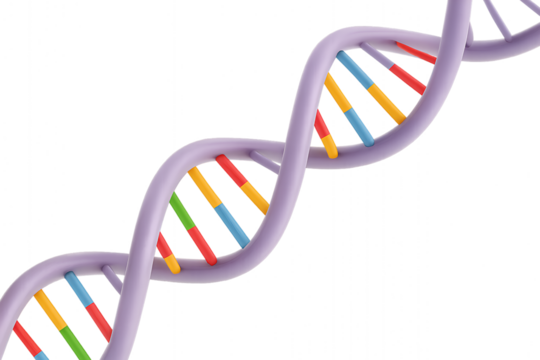 Colorful DNA double helix structure illustration concept of genetics and molecular biology science