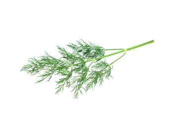 Fresh green dill isolated on white