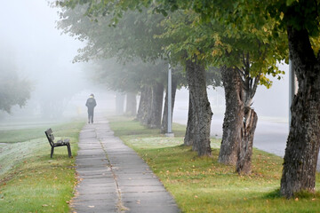 early autumn morning, fog hides the outlines of trees and bushes, blurred background